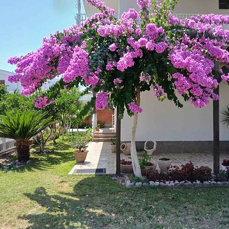 Vila Adriatik Ούλτσιν Εξωτερικό φωτογραφία