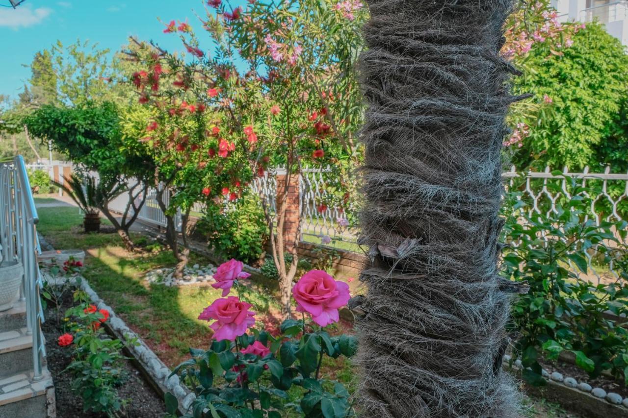 Vila Adriatik Ούλτσιν Εξωτερικό φωτογραφία